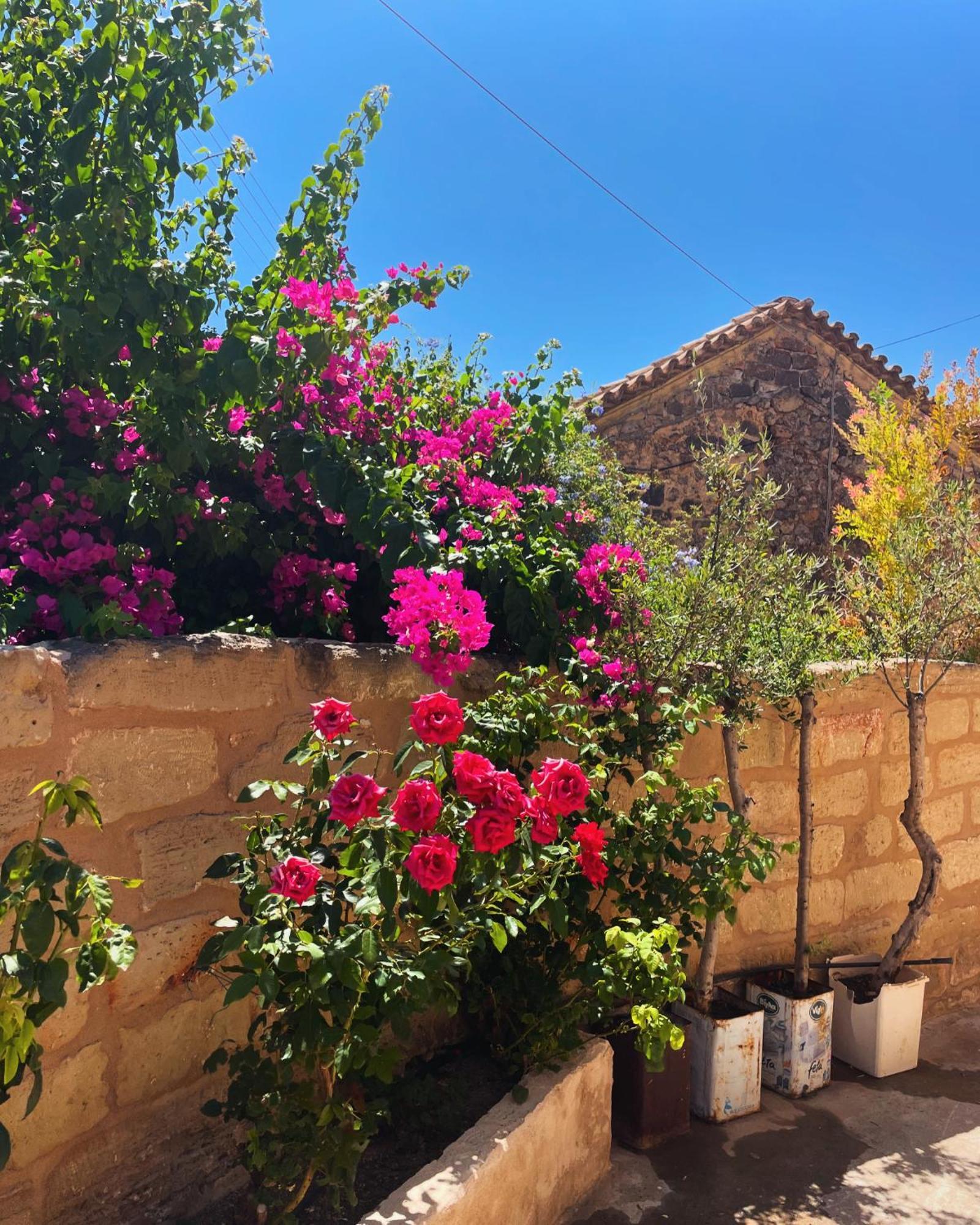 Pyrgos Fassea * Kardhamili